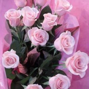 Meet your Posher, Wadha